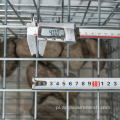 Spawany pudełko gabion/oporowe ściany ocynkowane pudełko gabionowe